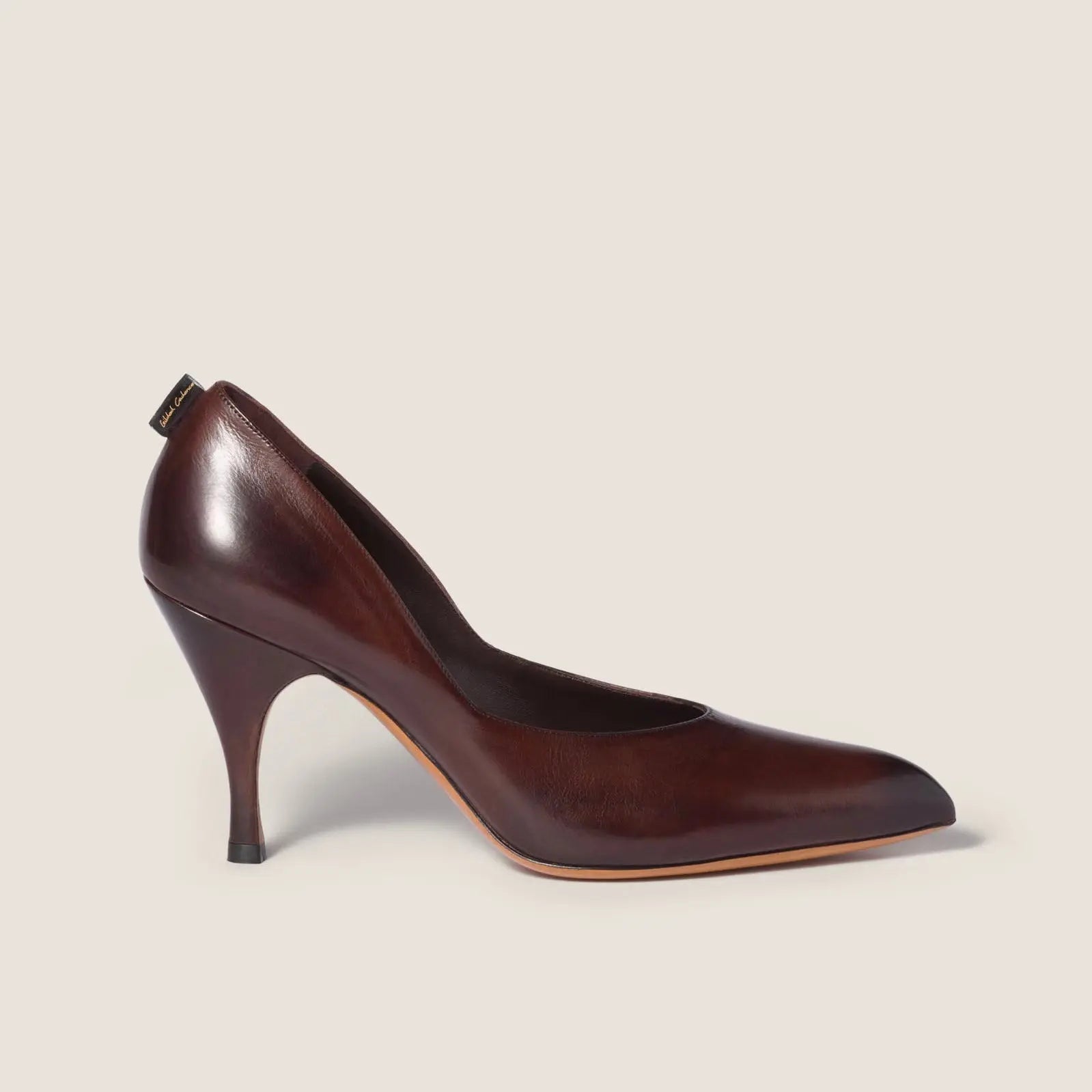 Dark Brown Leather Pointed Toe Pumps Gilded Cadence