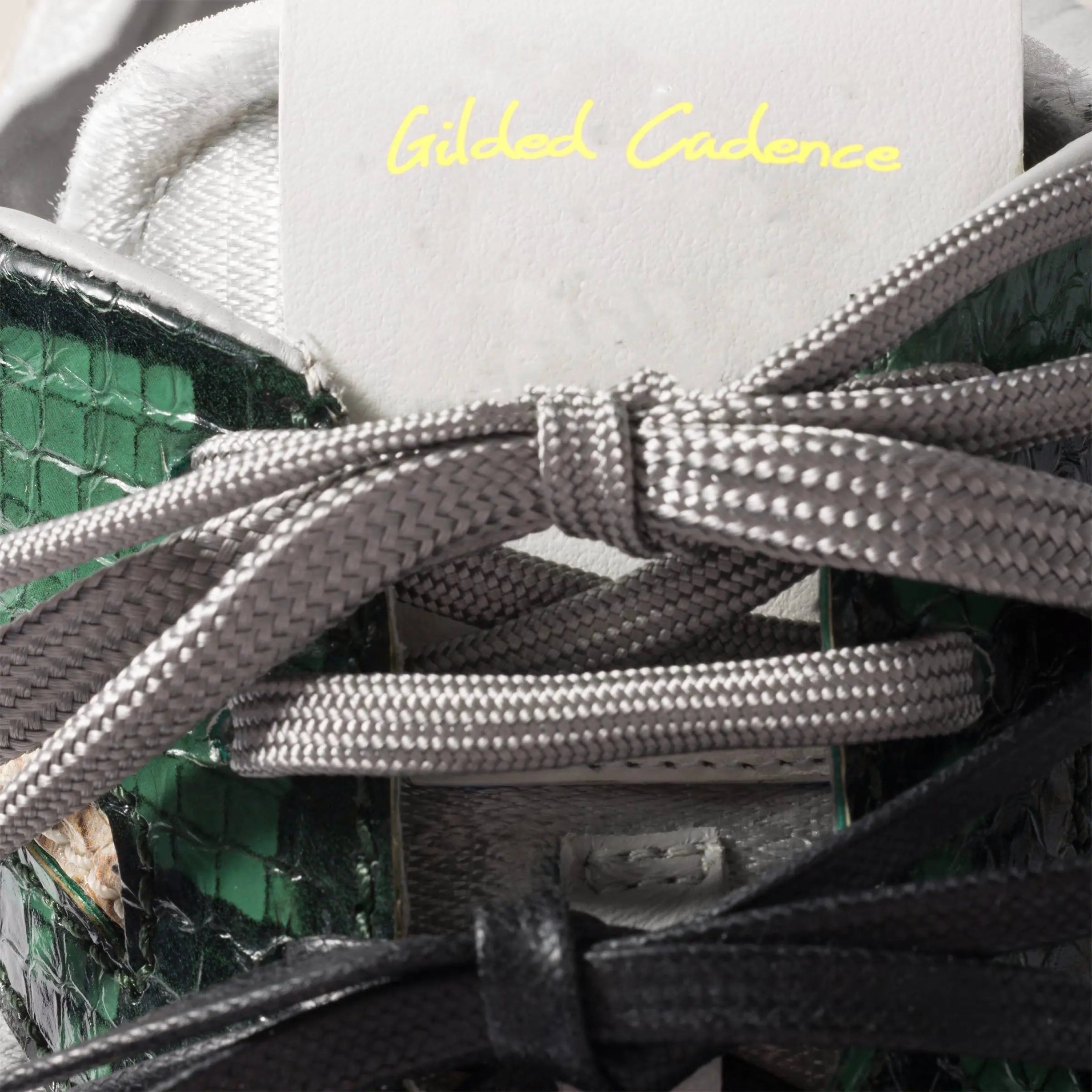 Gymnasium technical fabric and python-print Ayers leather sneakers Gilded Cadence