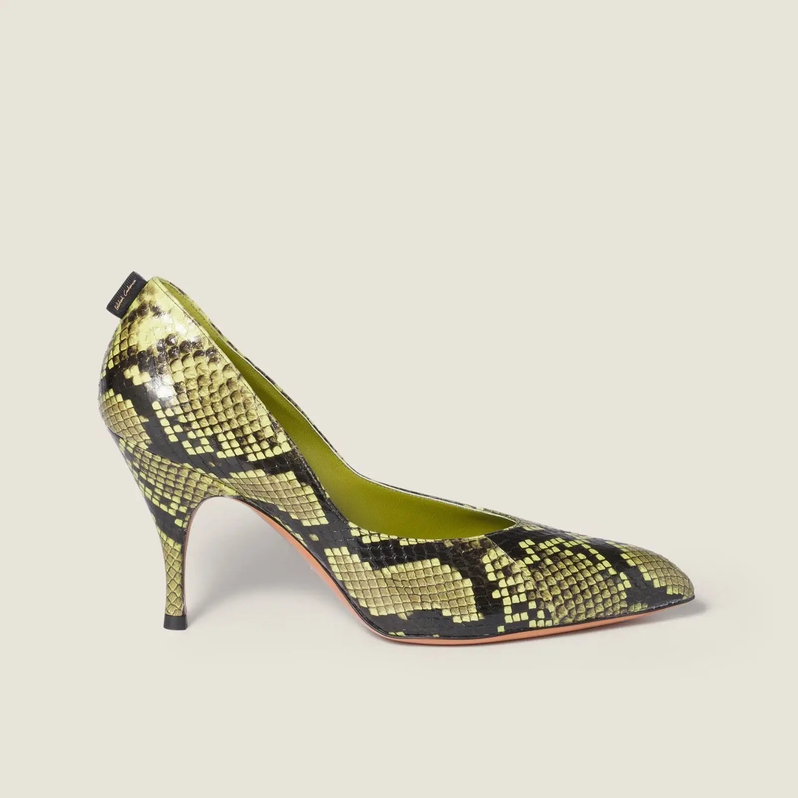 Women's Exotic Python Stiletto Pumps Gilded Cadence